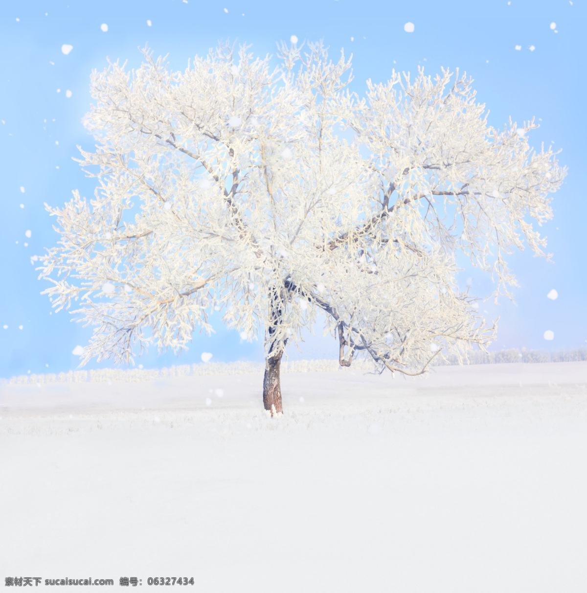 美丽 冬天 风景 美丽冬天风景 冬天雪景 雪地 雪地上的树 山水风景 风景图片