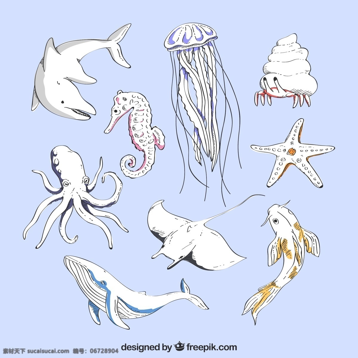 款 手绘 海洋 动物 矢量 鲸鱼 抹香鲸 海马 水母 海星 寄居蟹 章鱼 鳐鱼 鱼 鲨鱼 海洋动物 文化艺术 绘画书法