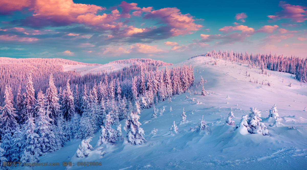 冬天雪景高清 冬天 雪地 雪景 蓝天 白云 松树 美景 风景 自然风光 自然风景 自然景观
