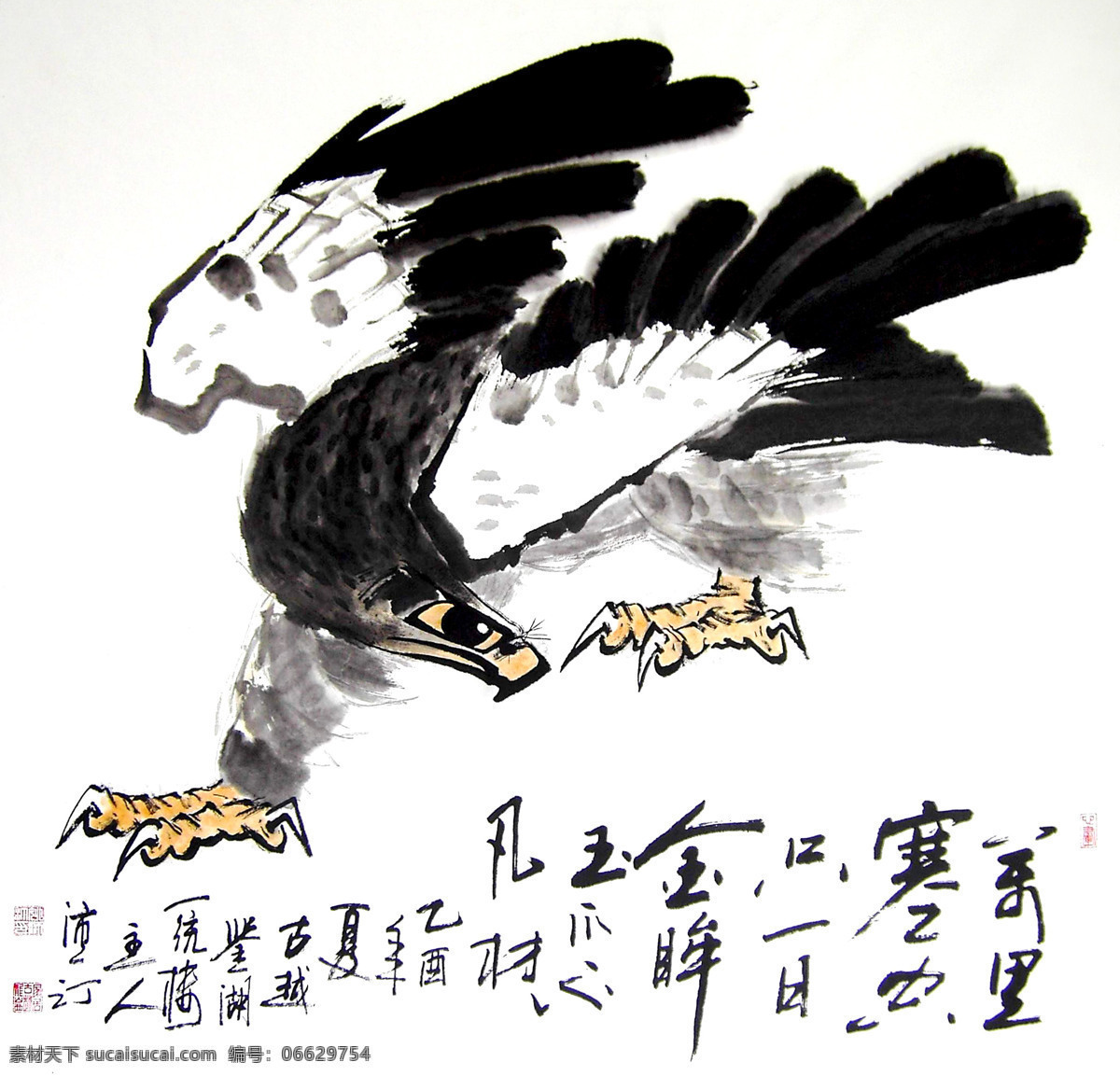 彩墨画 国画艺术 绘画 绘画书法 美术 书法 水墨画 雄鹰图 中国画 动物画 猛禽 鹰 雄鹰 展翅 印章 国画集42 文化艺术 装饰素材 雕刻 图案