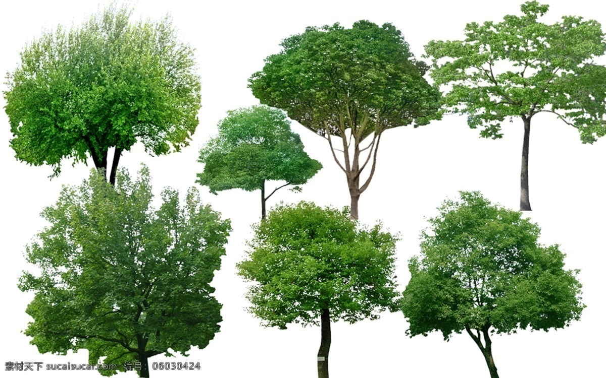园林绿化 植物 樟树 园林 景观设计 psd源文件 花坛 分层后期素材 白色