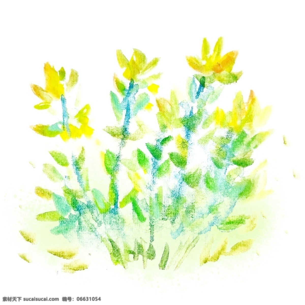 水彩黄色花丛 水彩花朵 植物 黄色小花 花丛 清新唯美 淡雅