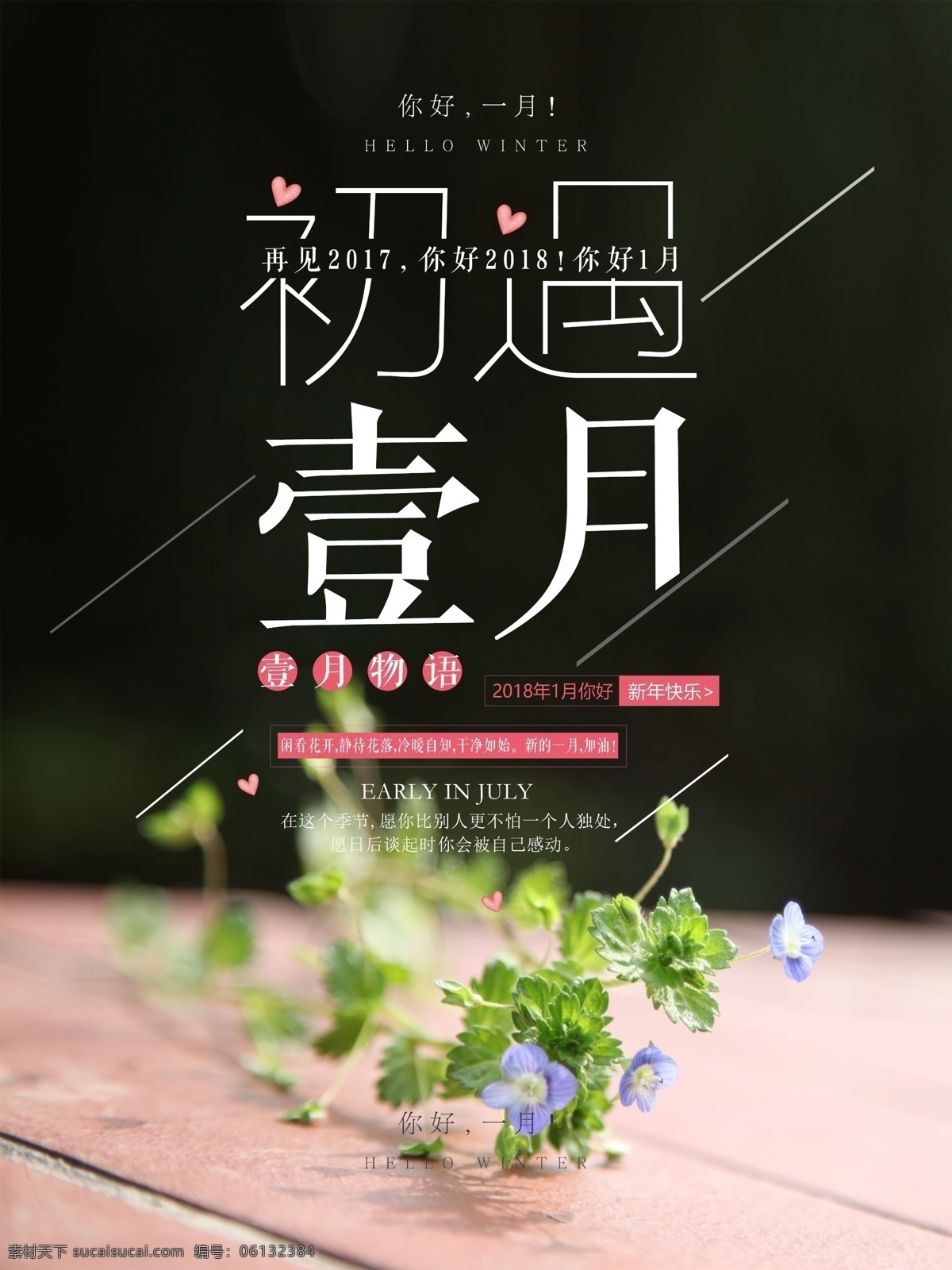 初 遇 一月 清新 文艺 微 博 配 图 海报 源文件 1月 1月你好 初遇一月 简约 你好 你好1月 配图 诗意 微博 微信 唯美 小清新