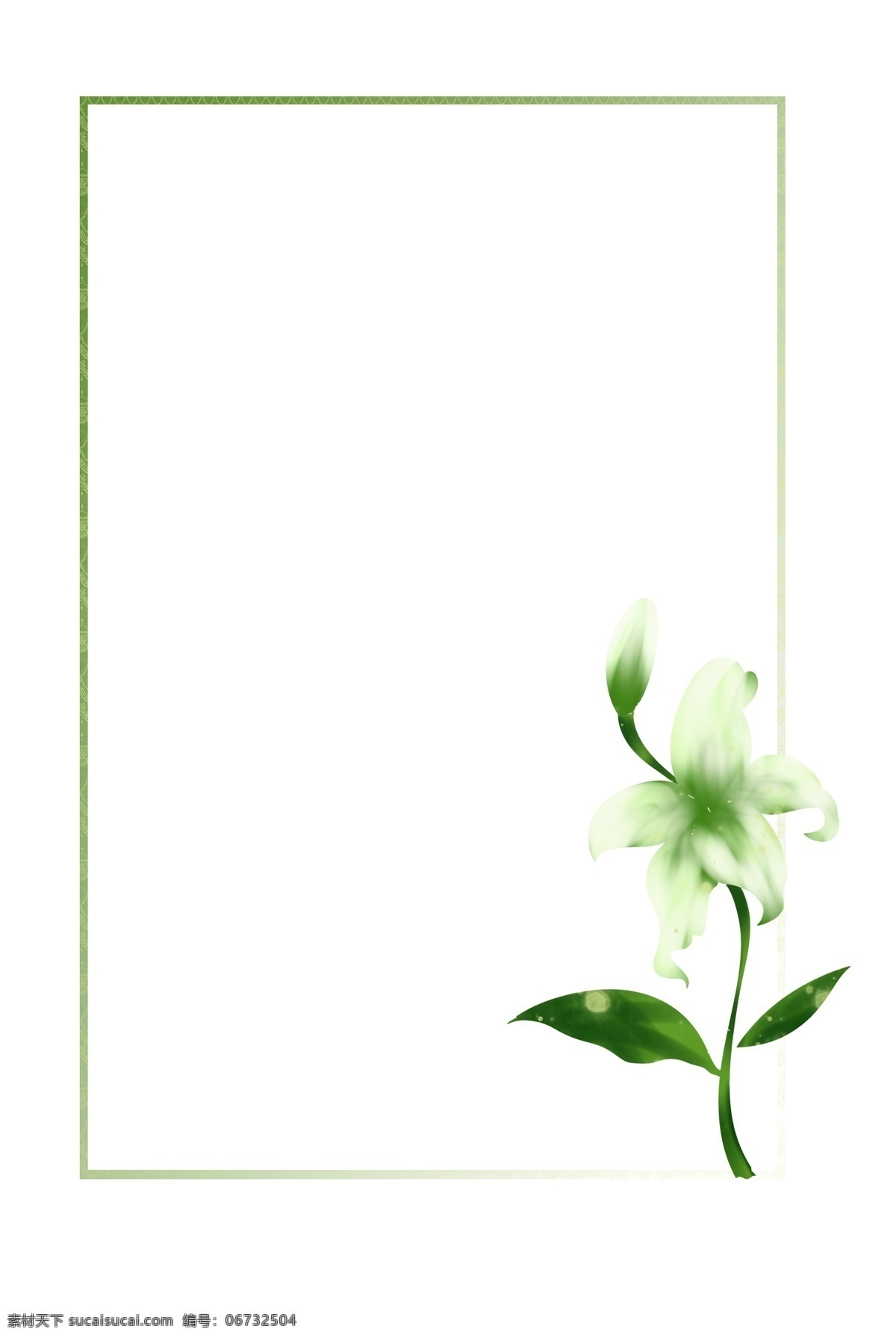 百合花 白色 花朵 手绘 边框 植物边框 花卉图案 手绘边框 美丽的花 大叶子 大自然 小清新 树叶子 叶子 夏天 插画 春天 植物 花瓣