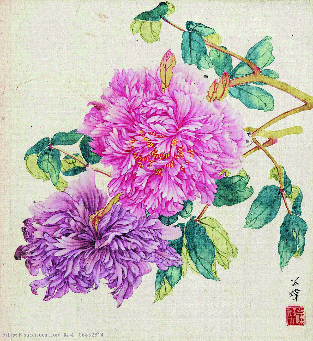 彩墨牡丹 美术 中国画 彩墨画 牡丹花 国画牡丹 文化艺术 绘画书法