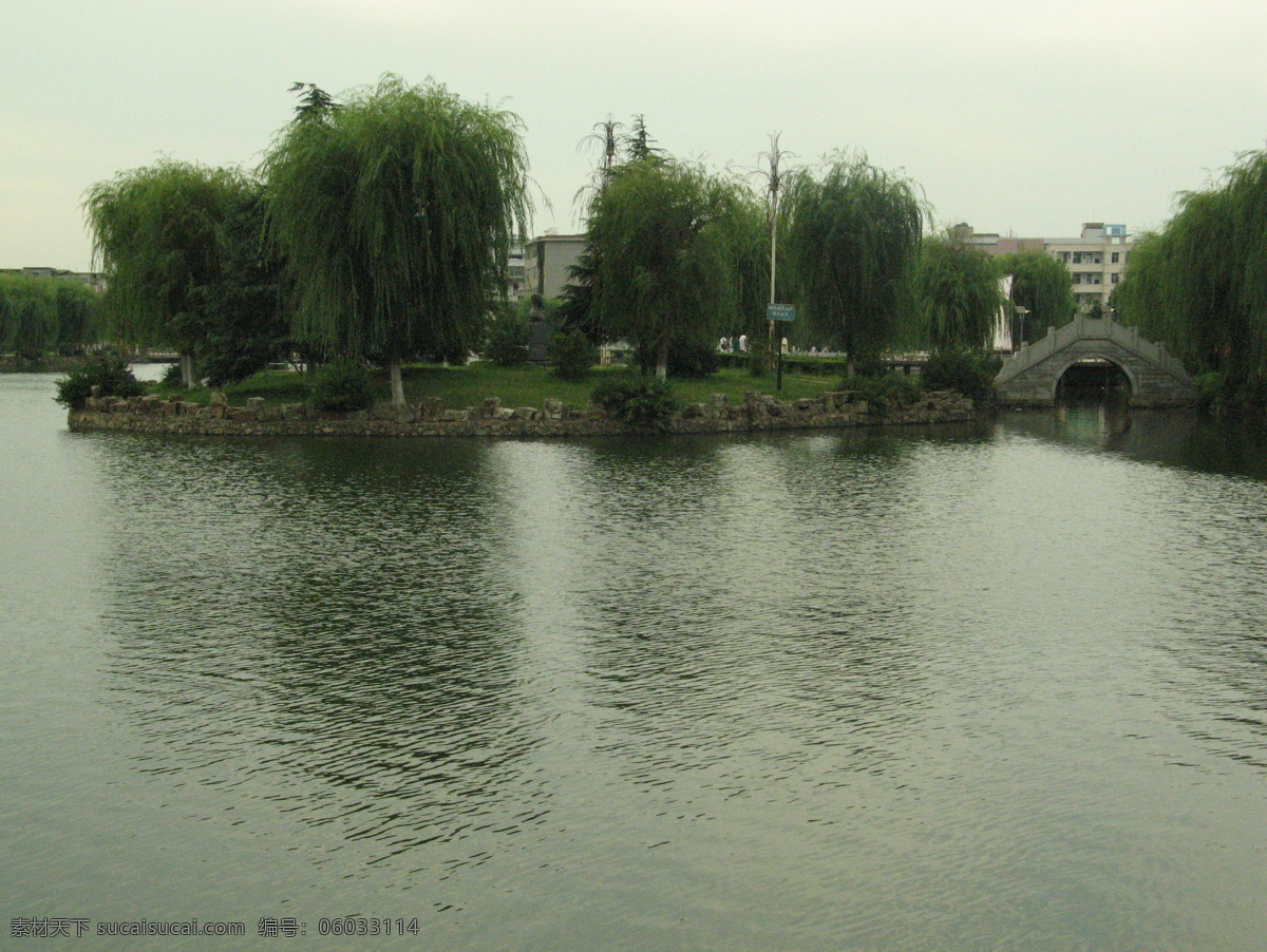 树免费下载 风景 山水风景 摄影图 树 植物 自然景观 水 家居装饰素材 山水风景画