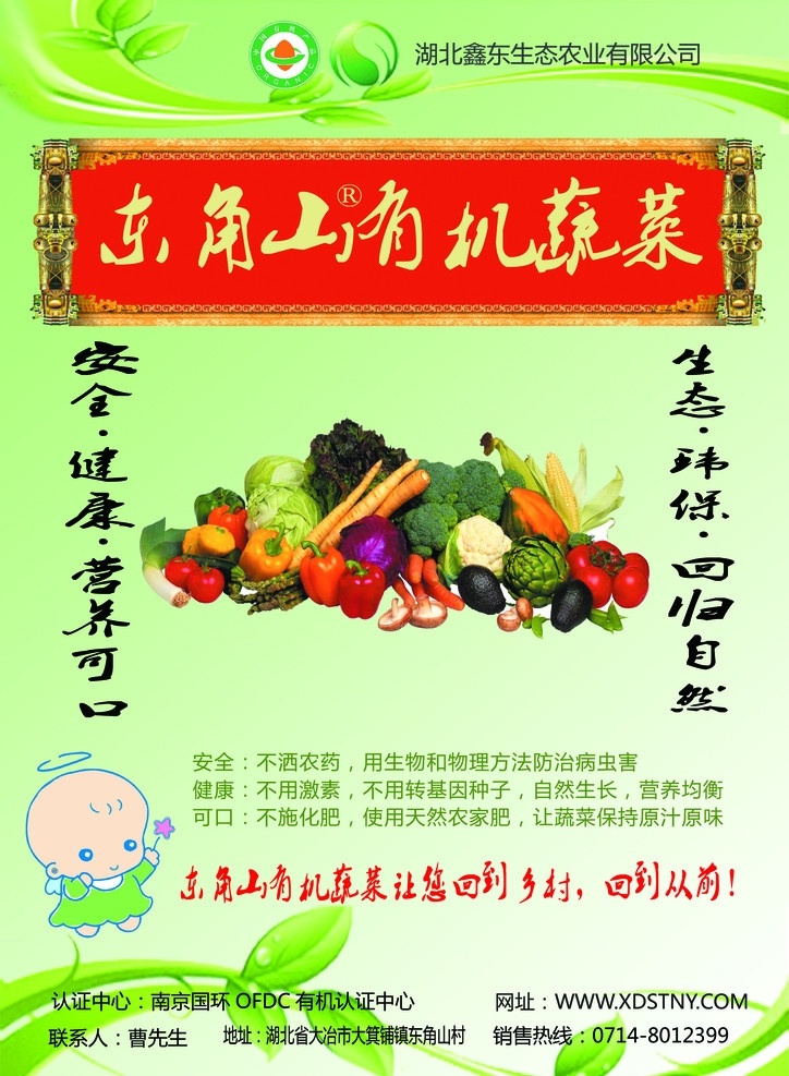生态农业 宣传单 绿叶 画轴 画卷 蔬菜 卡通儿童 藤 叶 dm宣传单 广告设计模板 源文件