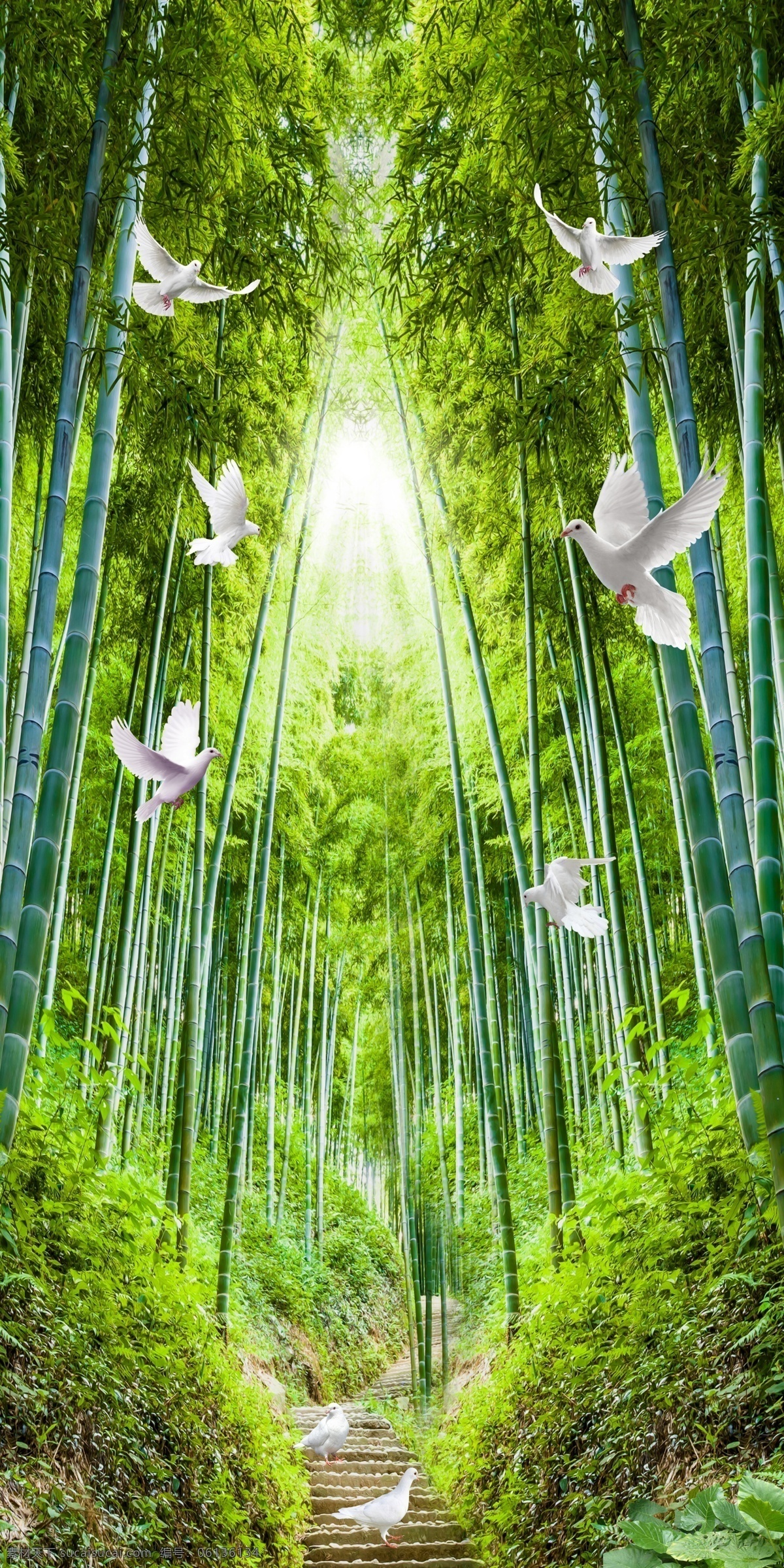 3d竹海竹林 竹子 竹林 鸽子 林荫路 小路 风景 3d立体 手绘 现代简约 电视背景墙 酒吧 公司 大厅 酒店 宾馆 客厅 玄关 过道 壁画 背景墙 墙纸 壁纸 装饰画 中堂画 形象墙 清新 时尚美女 时尚元素 时尚背景 时尚潮流 时尚杂志 竹