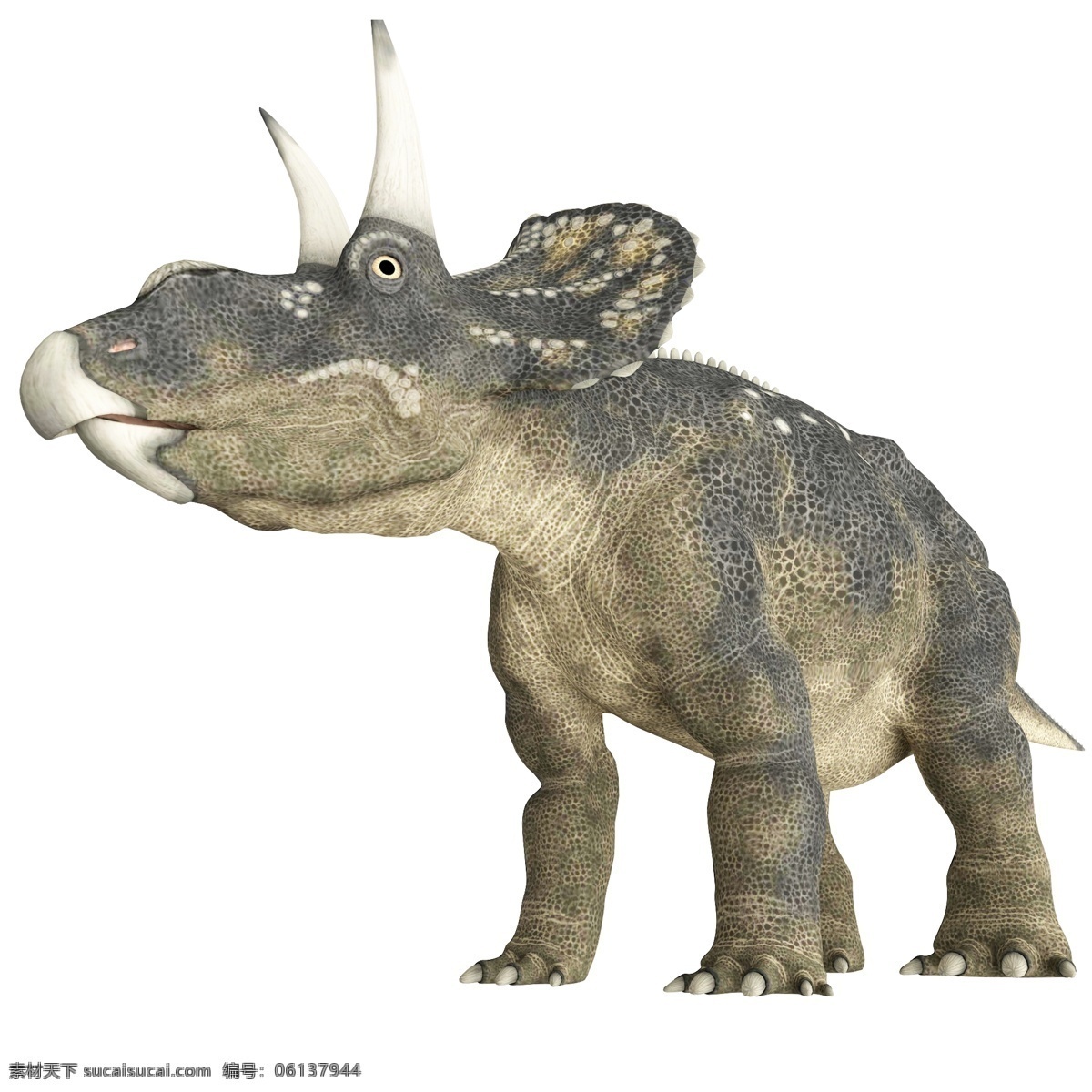 立体 恐龙 灰色 立体恐龙 灰色恐龙 动物 立体动物 灰色动物 凶猛恐龙 凶猛动物 凶猛