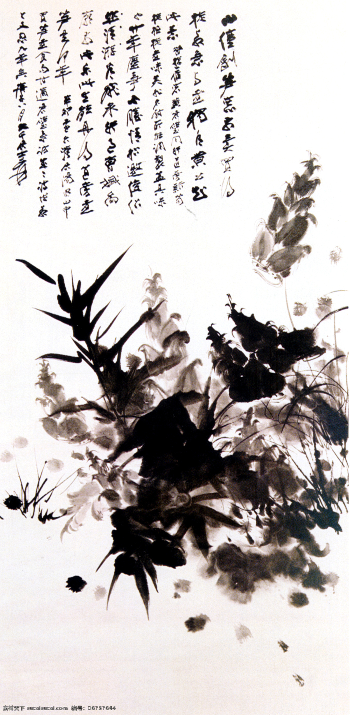 张大千 竹笋 图 高清 古诗配画 古诗与水墨画 水墨画图片 水墨画 文化艺术