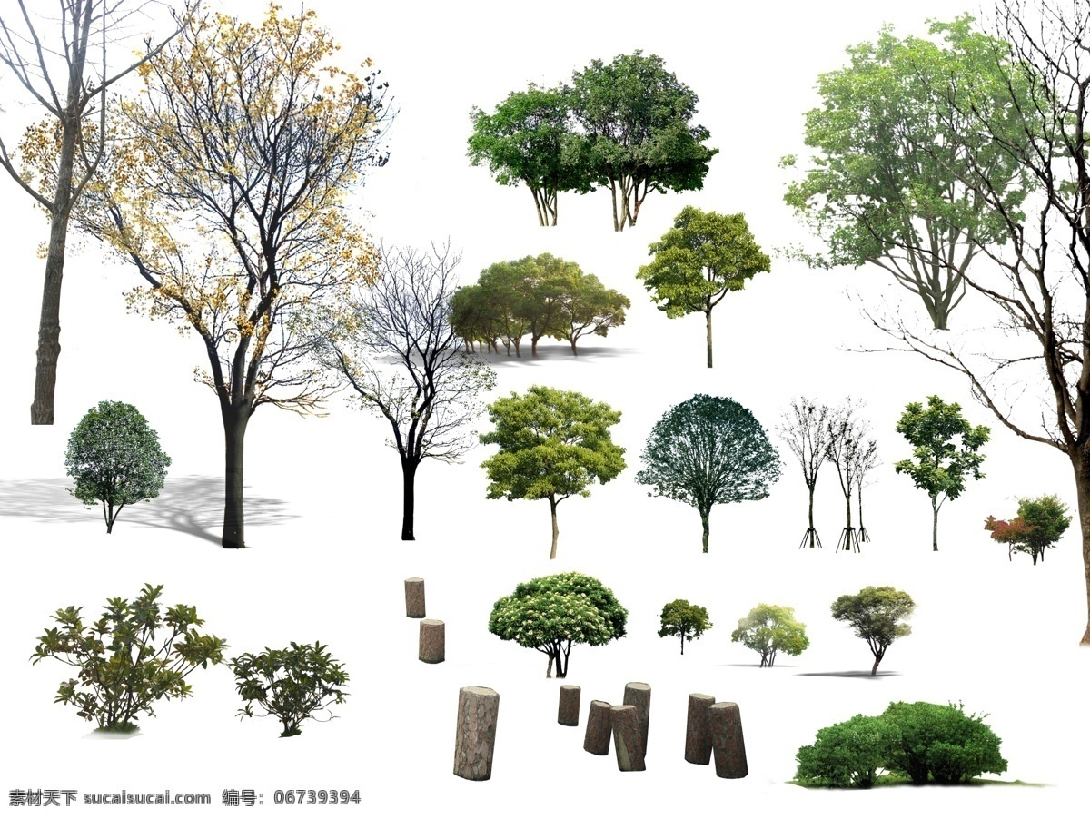 树元素 树 元素 透明 免抠 绿色 大树 树干