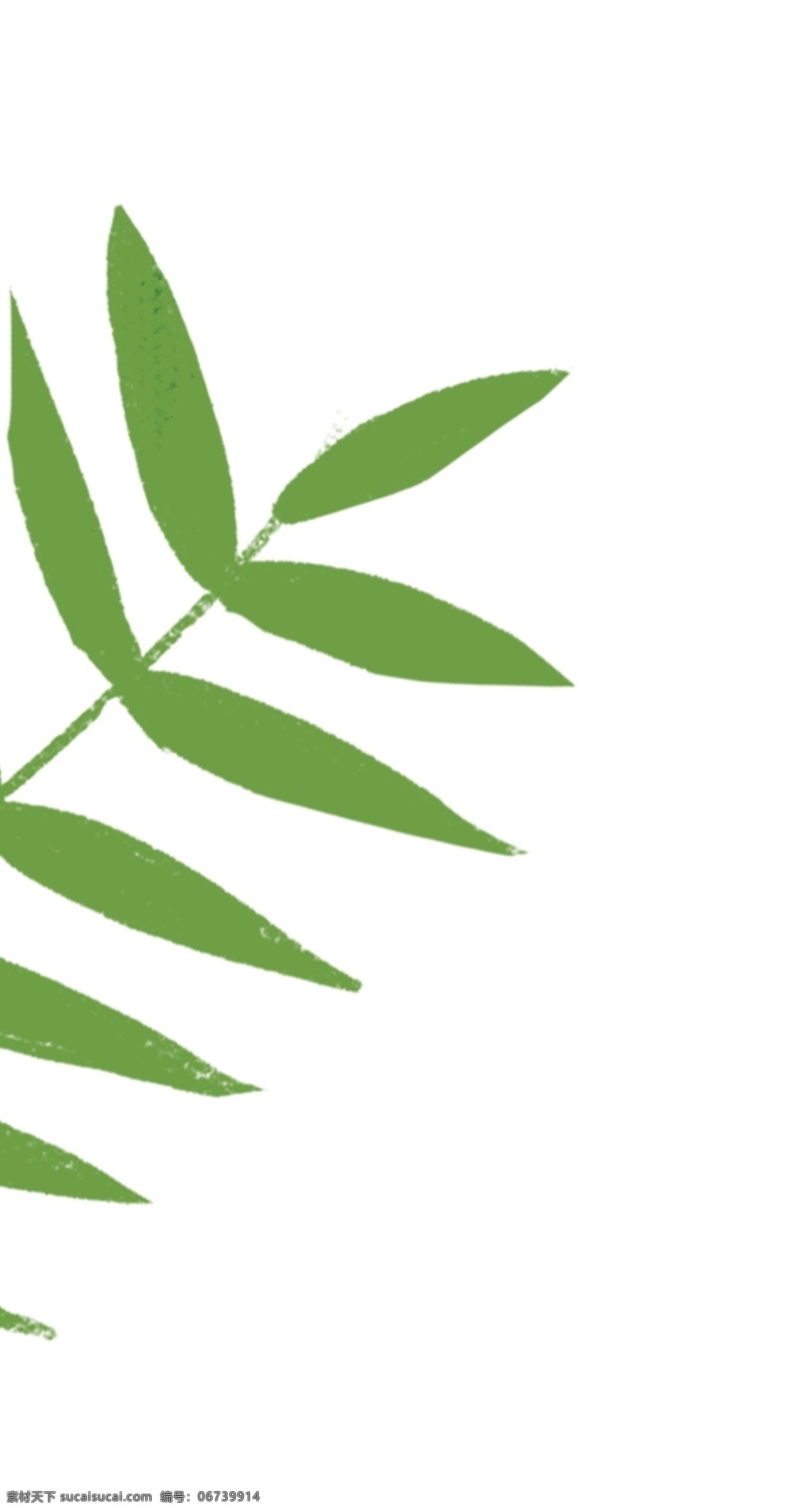 手绘 卡通 绿 叶子 元素 绿叶子 大自然 小清新 树叶子 夏天 插画 春天 植物 植被 绿色 绿叶