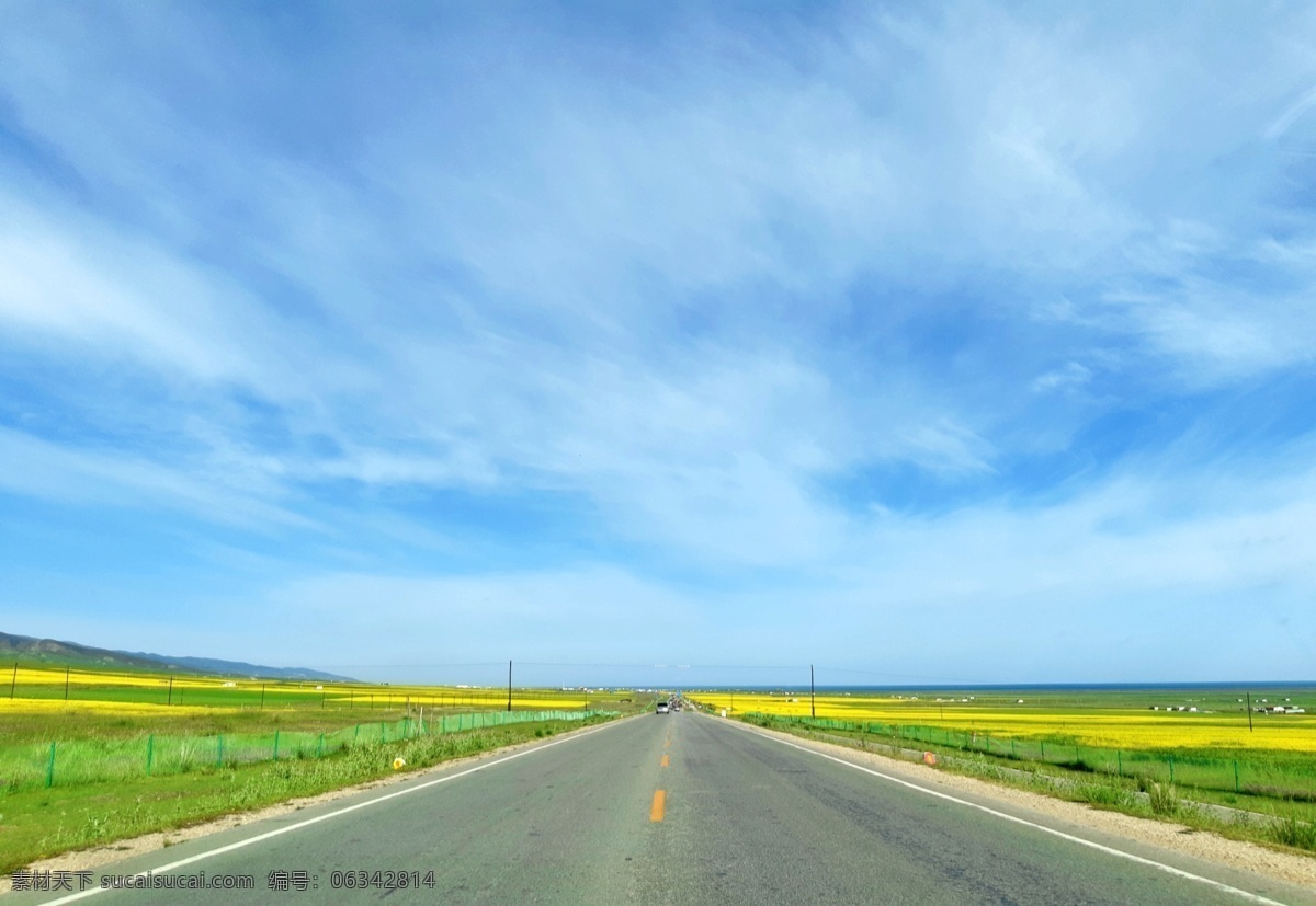 公路 夏天 油菜花 蓝天 白云 自然景观 自然风景