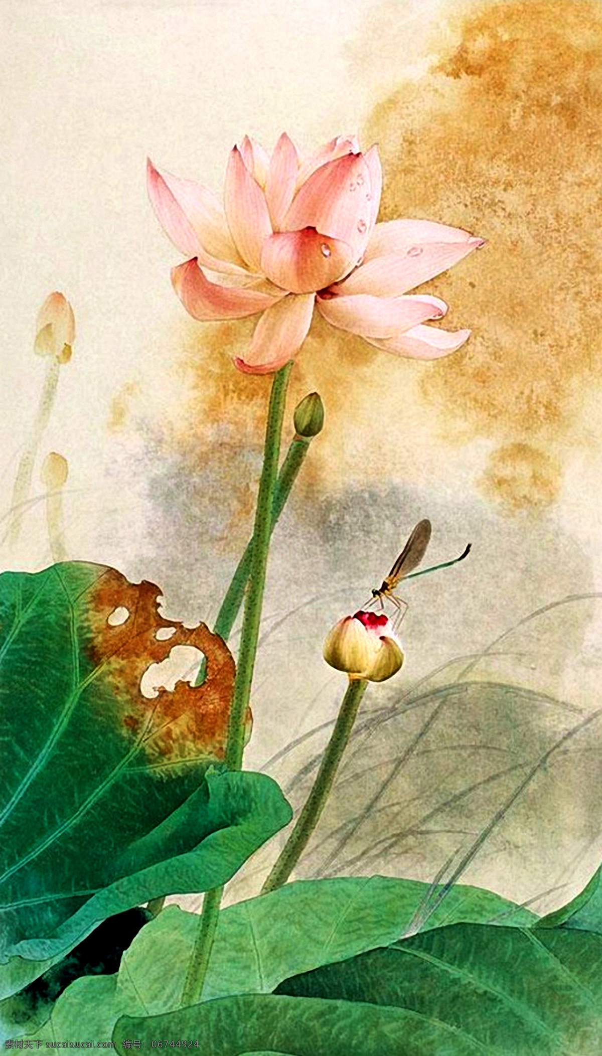 绿叶荷花 中国画 国画 水墨画 水墨荷花 荷花 水彩画 工笔画 红色荷花 莲 莲花 写意 中国风 文化艺术 绘画书法