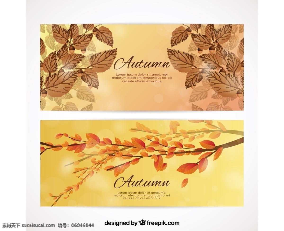 秋天 树叶 树枝 现实 卡 花卉 树 卡片 模板 自然 可爱 五颜六色 优雅 现代 树木 色彩 有趣 植物 凉爽
