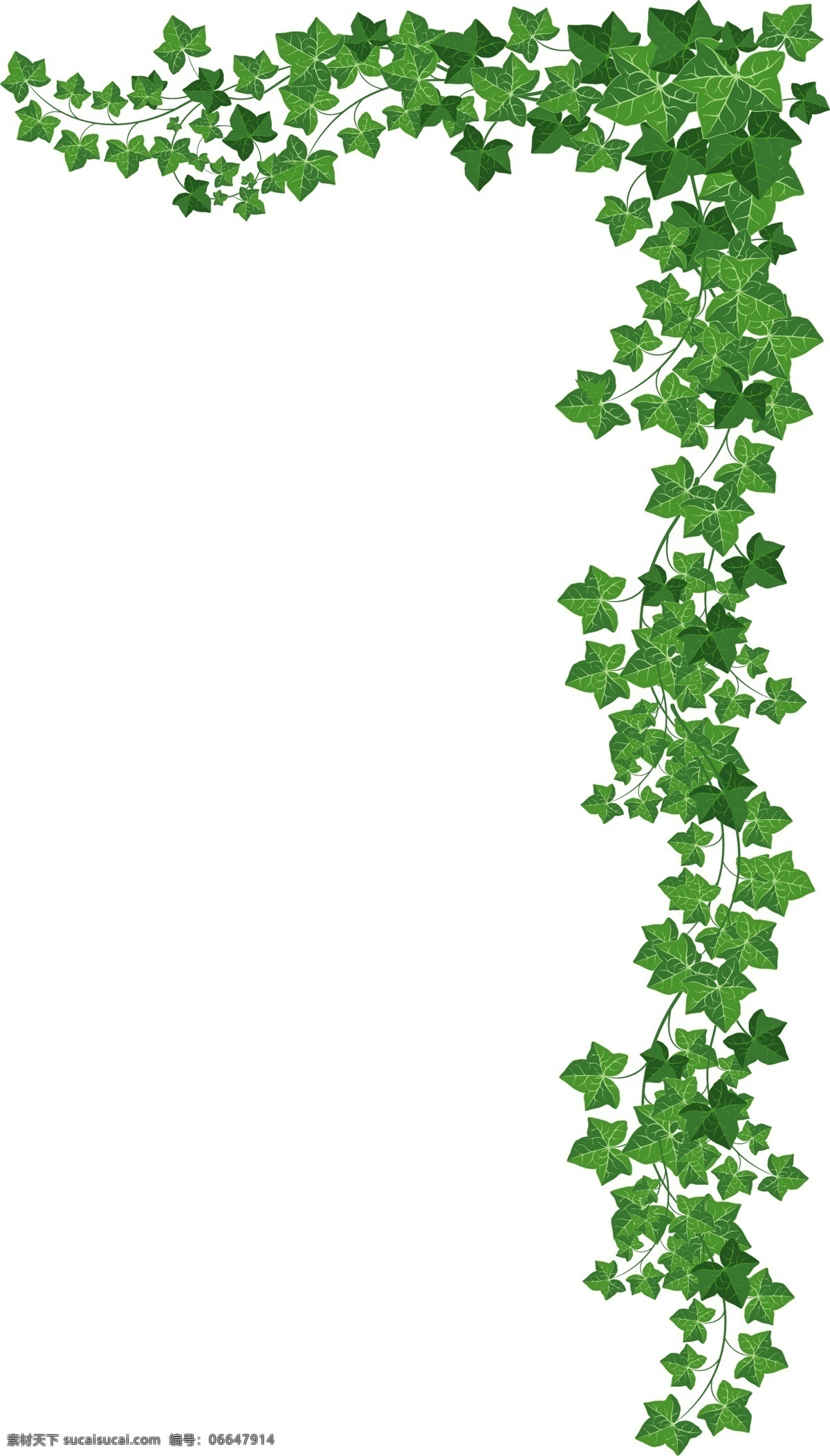 植物树叶 花纹 红色花纹 插画 清新花纹 banner 爱情 美丽花纹 小清新 绘画 花瓣 夏天夏季 花 小花 手绘花朵 植物 花朵花卉 植物花朵 绿叶 勾花 叶子 花朵花卉绿叶 叶片 植物绿叶 植物图案 花草图案 循环花朵底纹 布料印花 面料图案 植物花卉 花纹底纹 树叶 一朵花 底纹边框 花边花纹