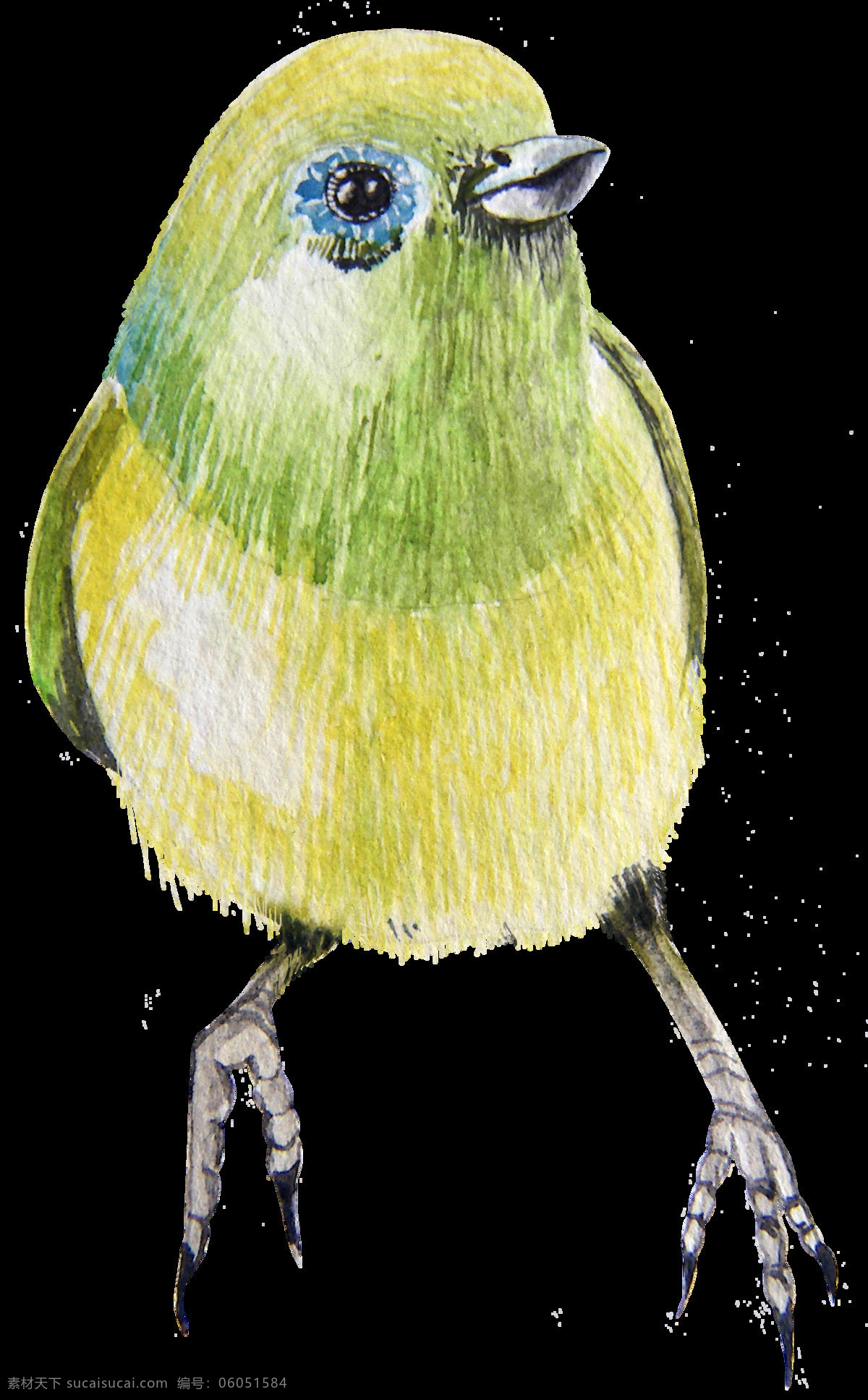 只 害怕 往后 退 小鸟 透明 灰色 蓝色 绿色 免扣素材 水彩 透明素材 渲染 爪子 装饰图案