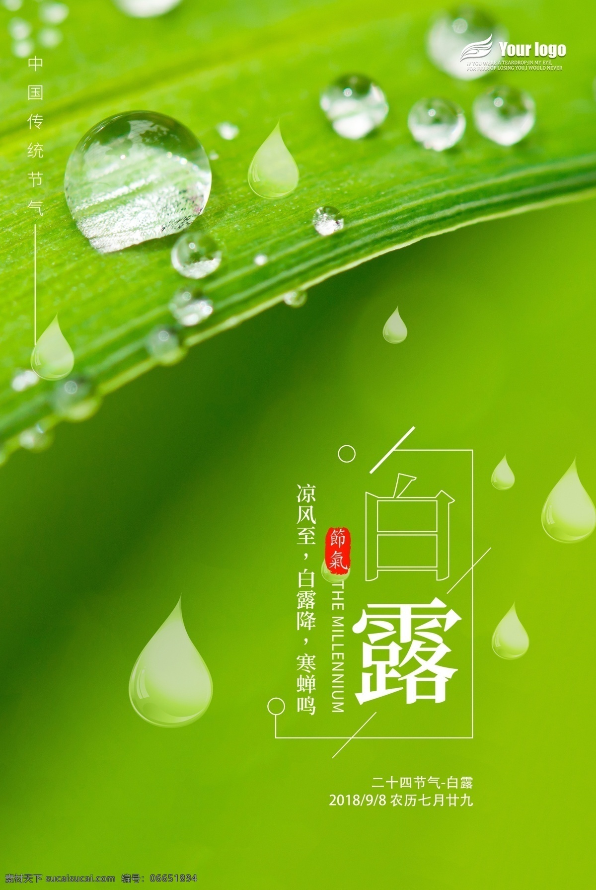 2018 年 白露 节气 海报 免费 模板 二十四节气 绿色清新 水珠 模板设计 节气海报设计 中国节气 免费模板
