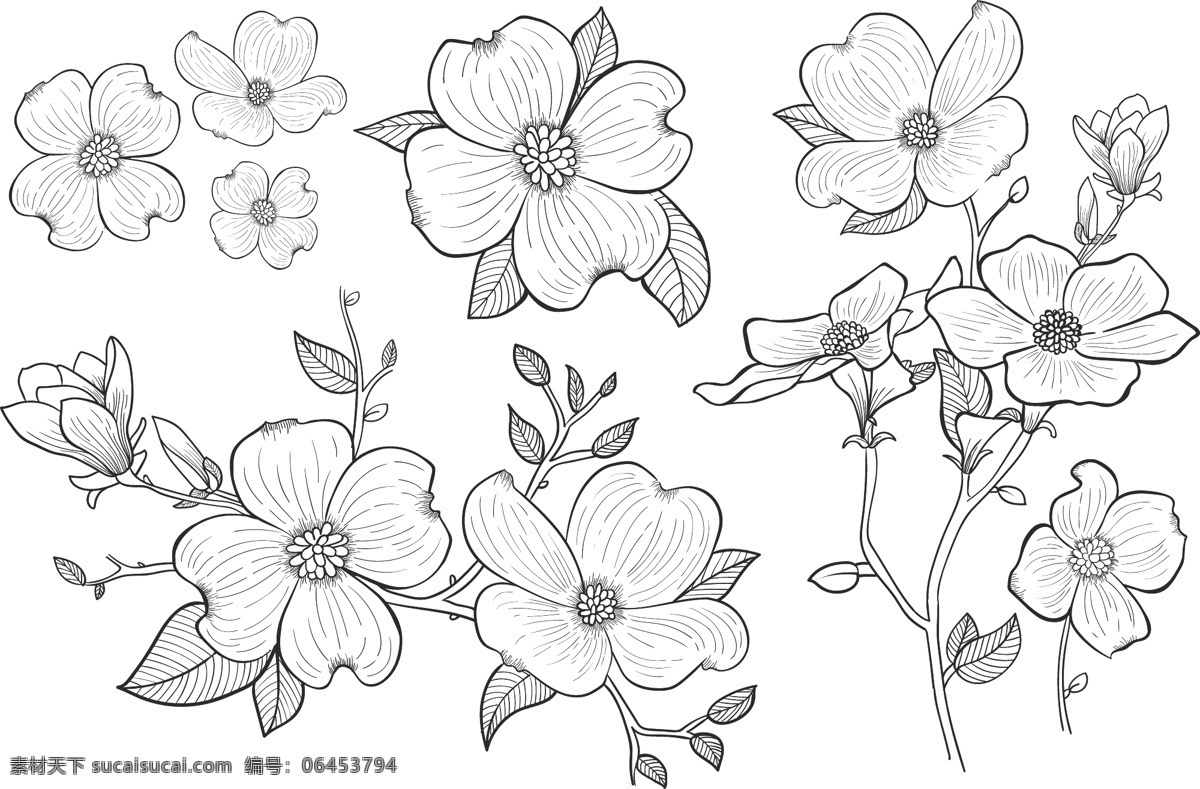 手绘 桃花 花卉 花朵 矢量素材 手绘插画 手绘花朵 手绘花卉 手绘桃花 手绘植物