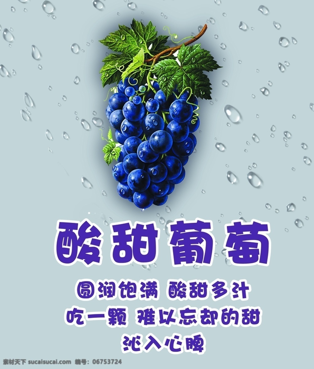 葡萄灯箱 水果 介绍 清新 有机 健康 灯箱 系列 葡萄 分层