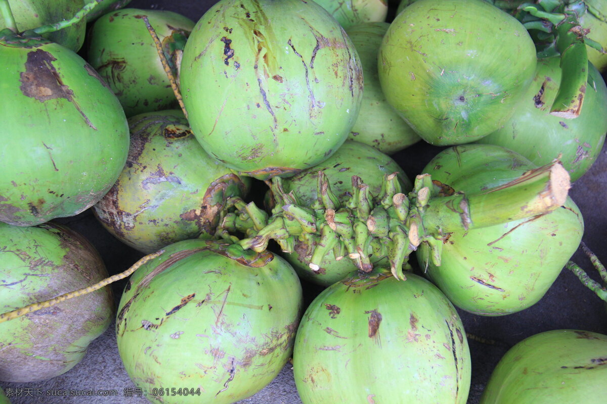海南椰子 新鲜椰子 旭日拍摄 热带水果 卖椰子 生物世界 水果