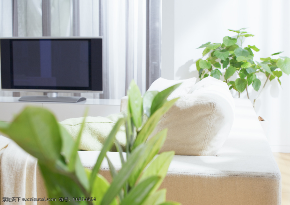 客厅 一角 家居 家居生活 时尚 安静 恬淡 唯美 清新 植物 电视机 沙发 室内设计 环境家居