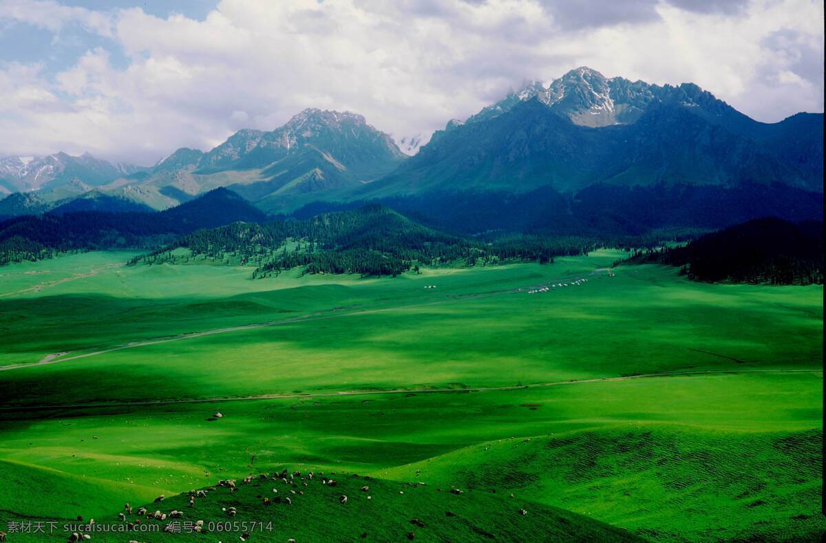 鹿家湾 草原 放牧 树林 远山 羊群 自然景观 自然风景 摄影图库 草原鹿家湾