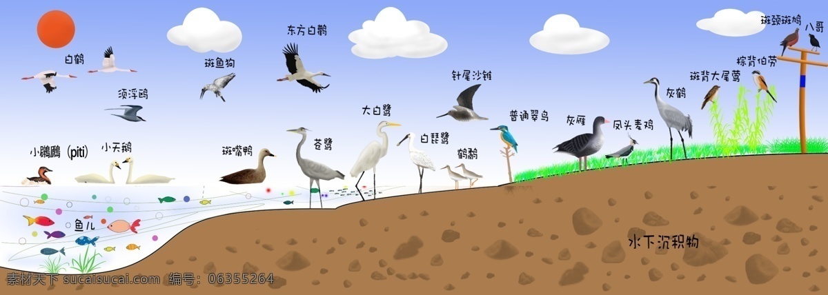 生态系统素材图片下载-素材编号06355264-素材天下图库