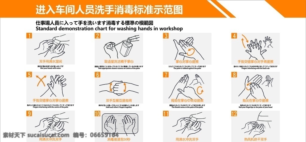 洗手 流程图 企业 卫生 安全 展板 标志图标 其他图标