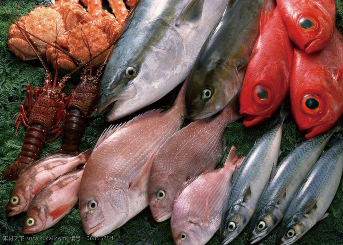 海鲜鱼蟹餐饮 海鲜 鱼蟹 鱼高清 蟹高清 鱼 鱼类海鲜 海鲜背景 海报素材 摄影素材