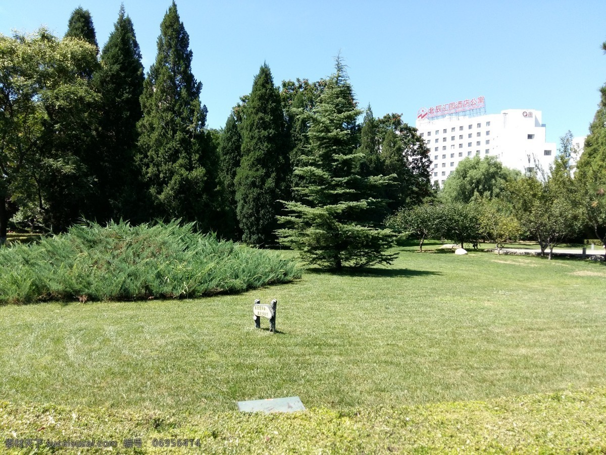 小区景观 小区环境 绿色植物 松树 小区园林 园林建筑集锦 建筑园林 园林建筑