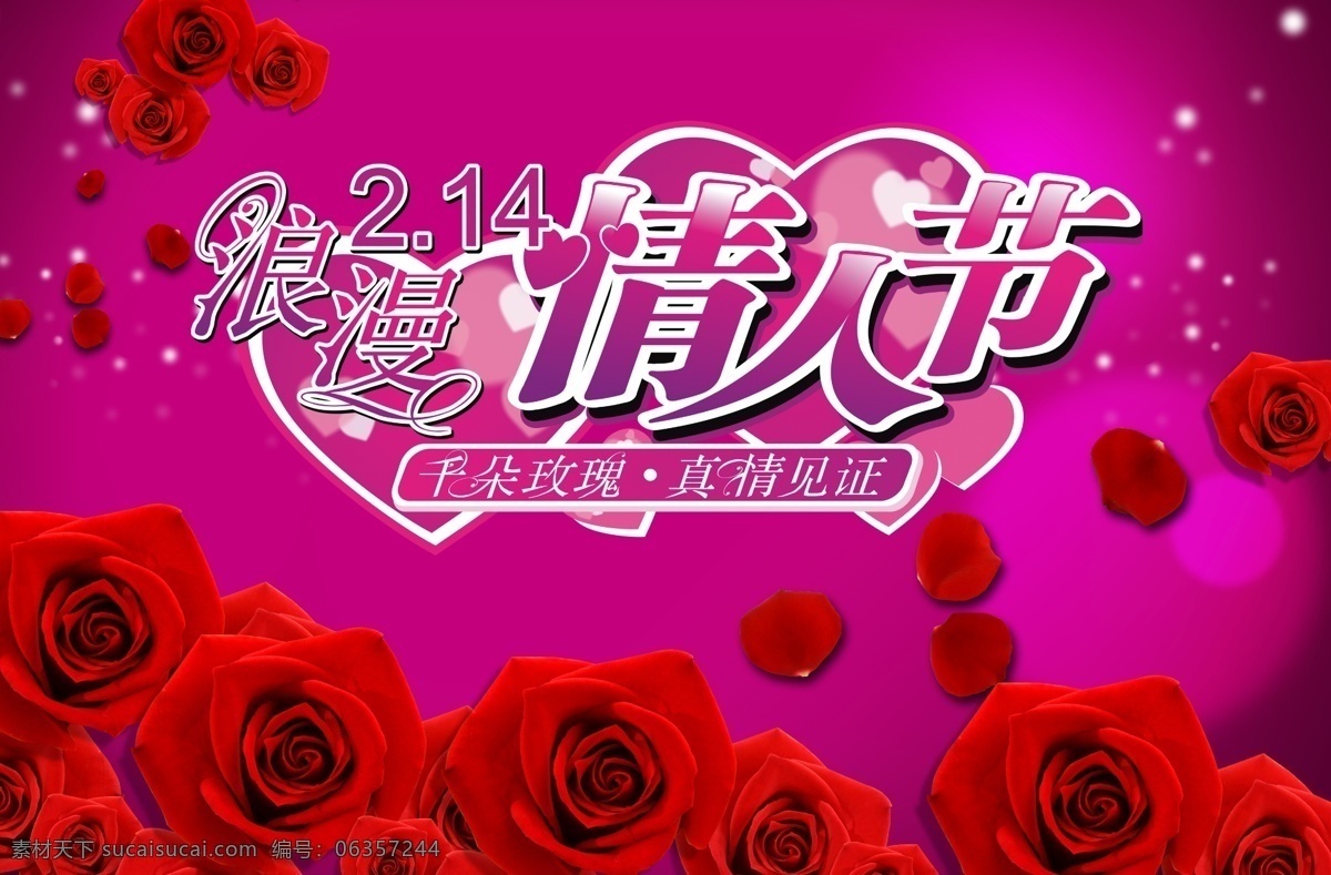 情人节 2月14日 花瓣 节日素材 浪漫 玫瑰 玫瑰花 源文件 psd源文件