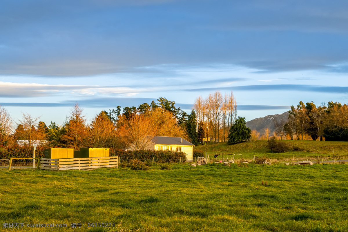 田园 早晨田园风光 桌面 壁纸 草地 农场 新西兰 自然景观