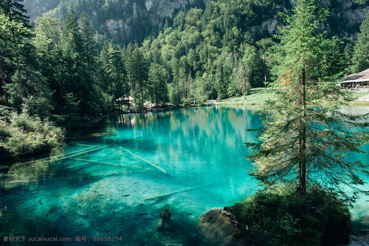 山水画 山水风景 山林 树林 树木 松树 湖泊 鱼塘 风景 美景 景观 自然景观 自然风景