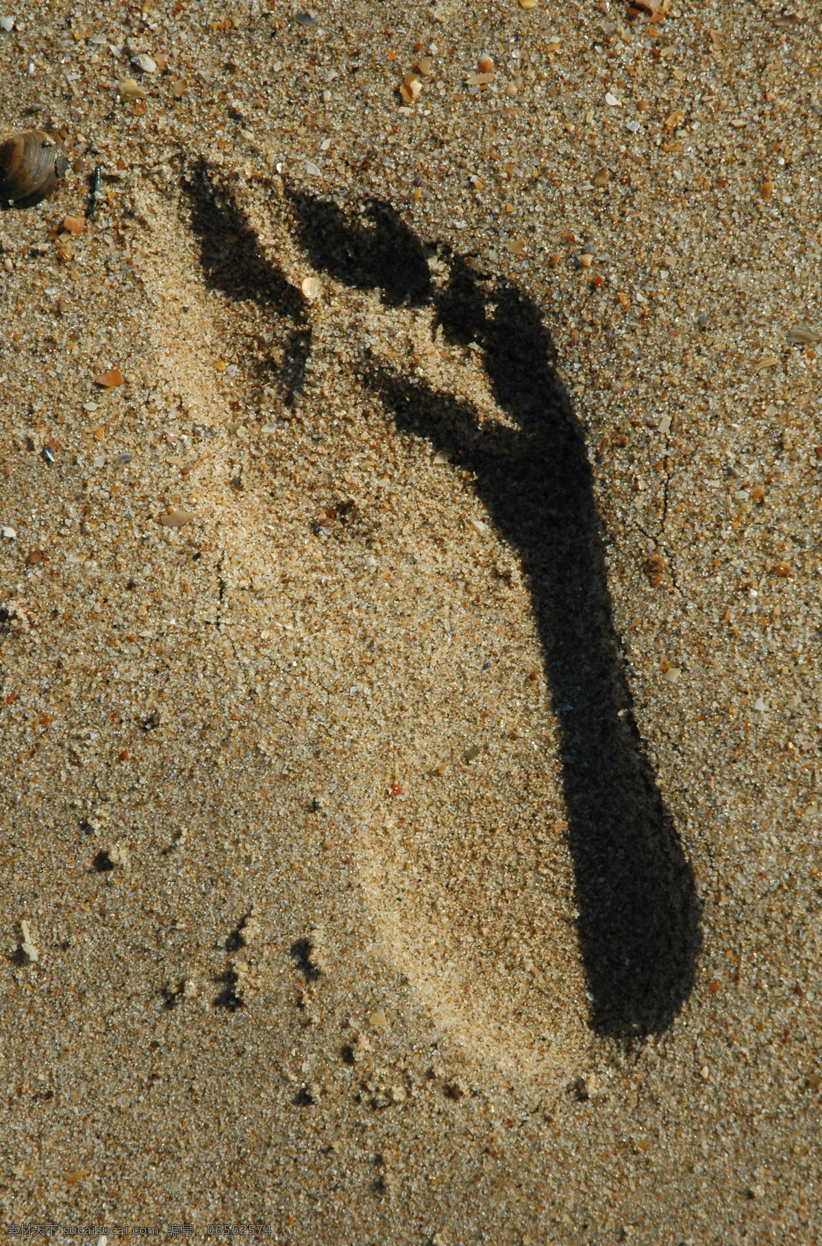 沙滩风光 沙滩 海滩 脚印 风光方面素材 自然风景 自然景观 黑色