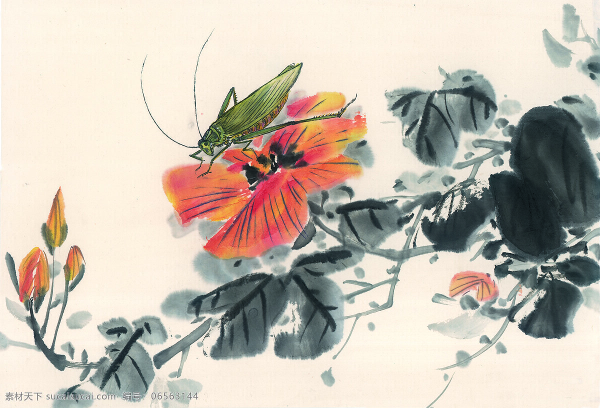 水墨画 蝗虫 昆虫 蚂蚱 蛐蛐 知了 中华艺术绘画 文化艺术