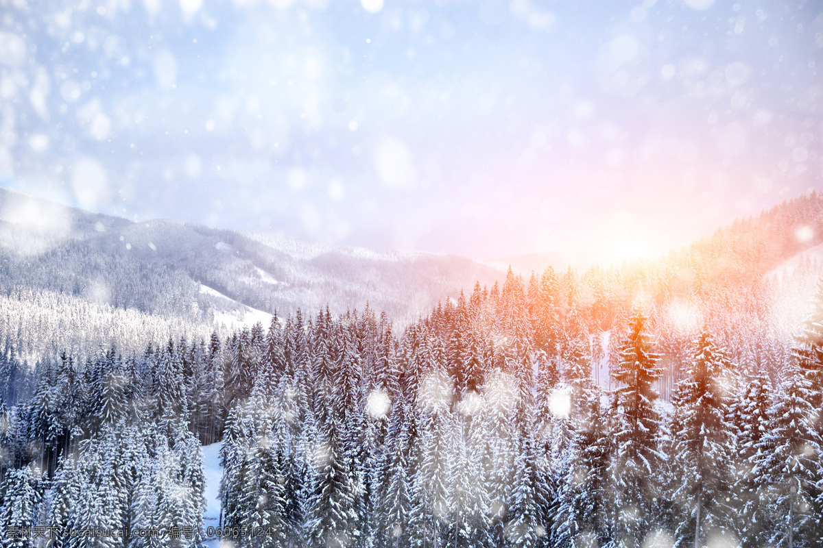 冬天树木 冬天雪景 雪地 美丽雪景 梦幻背景 自然风景 冬天风景 自然景观 白色