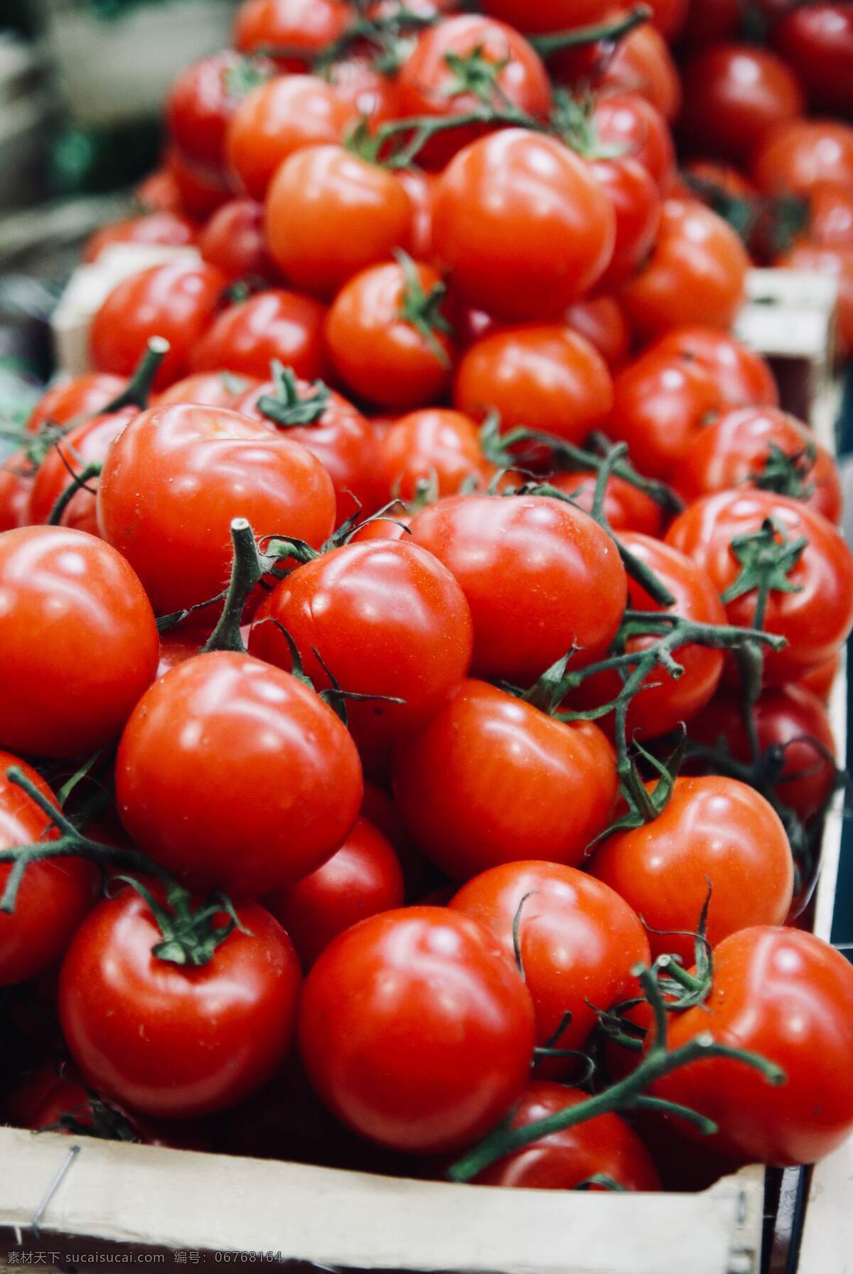 番茄 蔬菜 集市 地摊 摆摊 新鲜 水果 市场 菜场 大市场 生活百科 生活素材