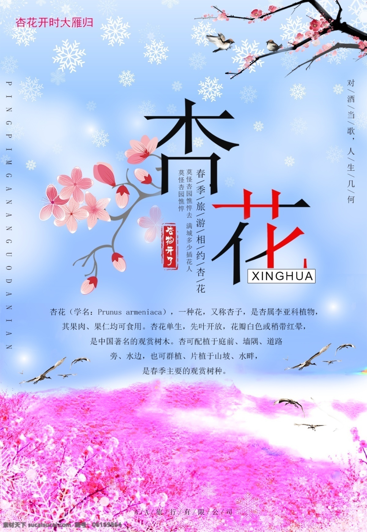 唯美 简约 杏花 旅行 海报 小清新 旅游 清新 粉色 春季 杏花海报 杏花旅游海报 促销 春旅游 杏 桃花 梅花 冬天旅游 中国 风