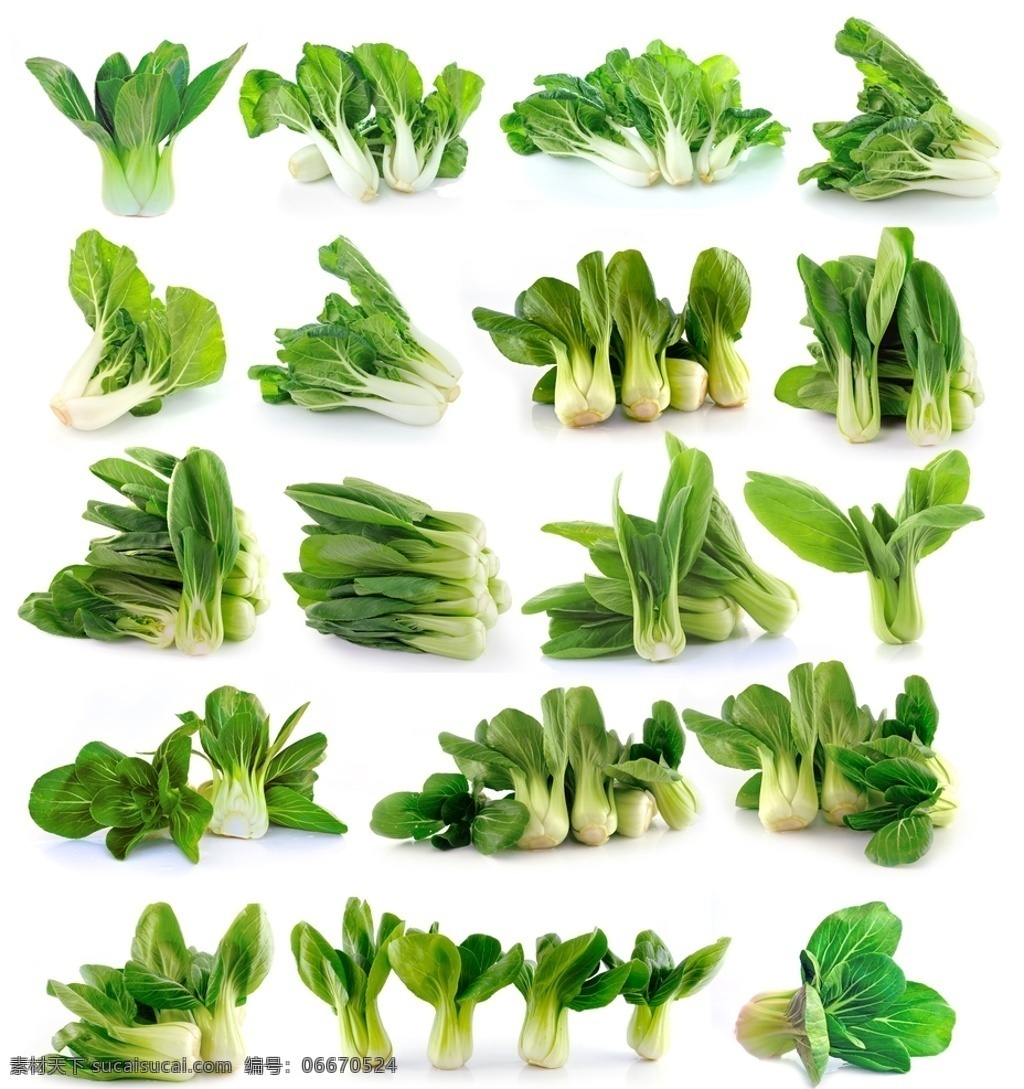 青菜 新鲜蔬菜 油菜 菜叶 绿色蔬菜 食材 餐饮食材图片 餐饮美食 食物原料