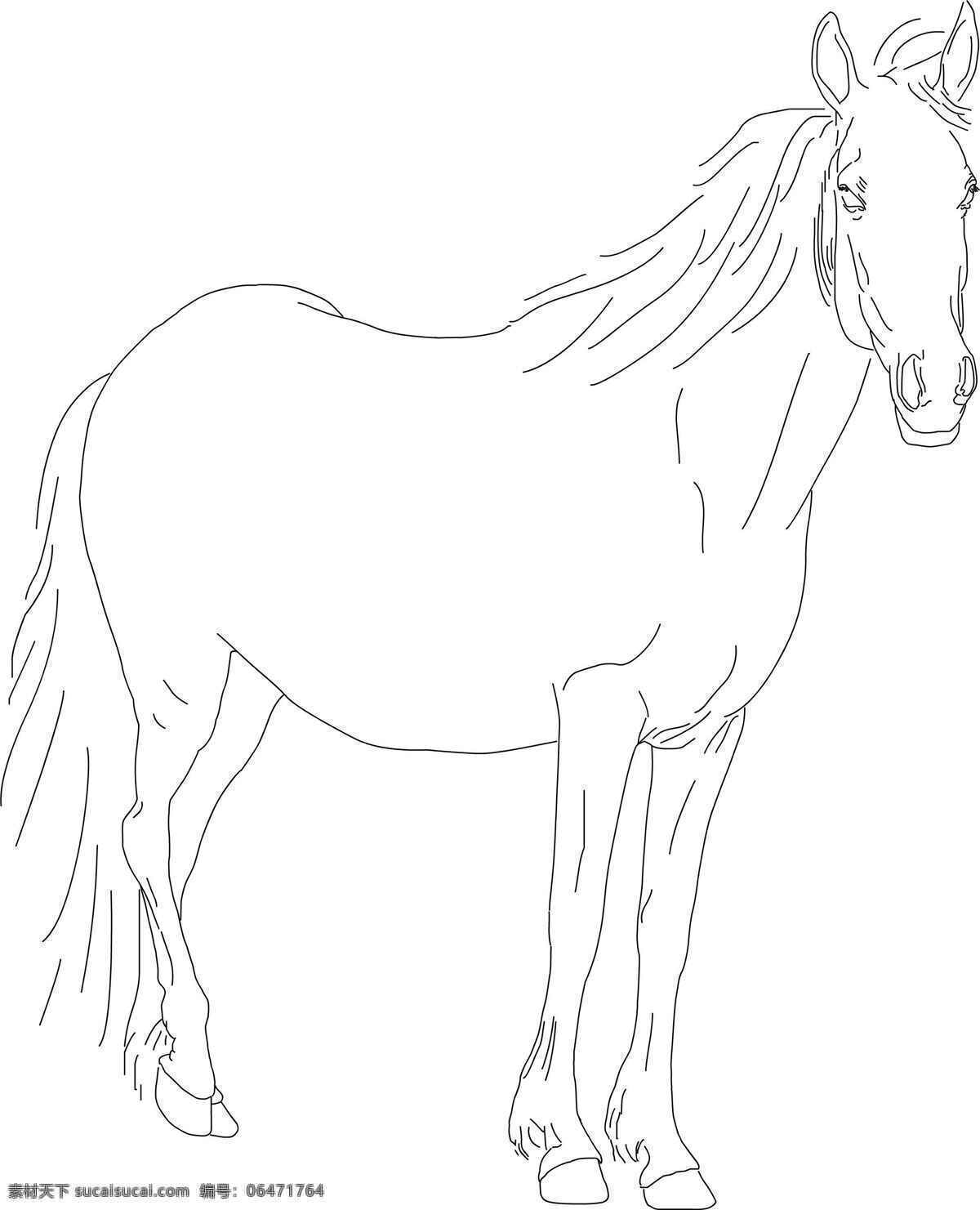 线描 马 绘画书法 骏马 文化艺术 设计素材 模板下载 线描马 马的轮廓 静立的马