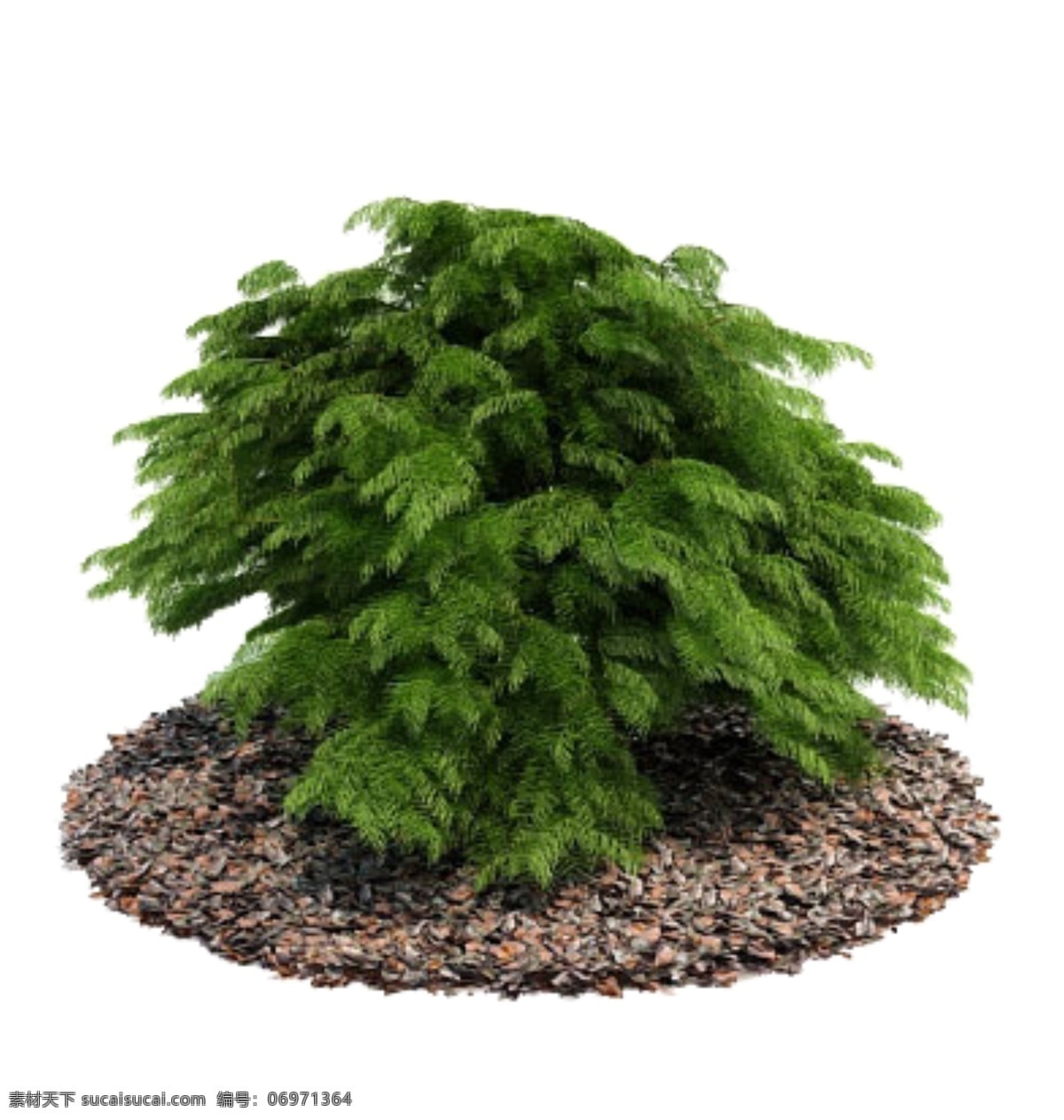 植物23素材图片下载-素材编号06971364-素材天下图库