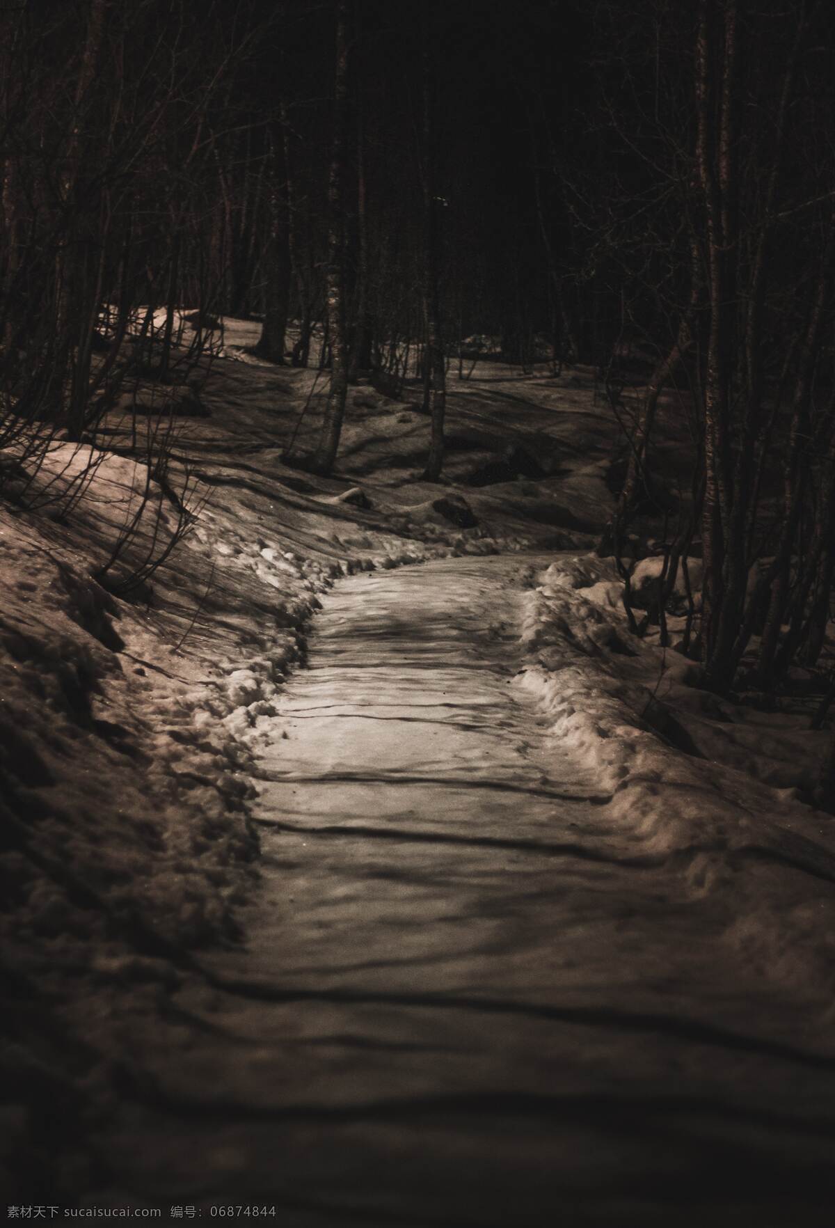 雪原小路 旅游 欧美 冬季 夜晚 雪原 小路 拍摄 摄影类 自然景观 自然风景
