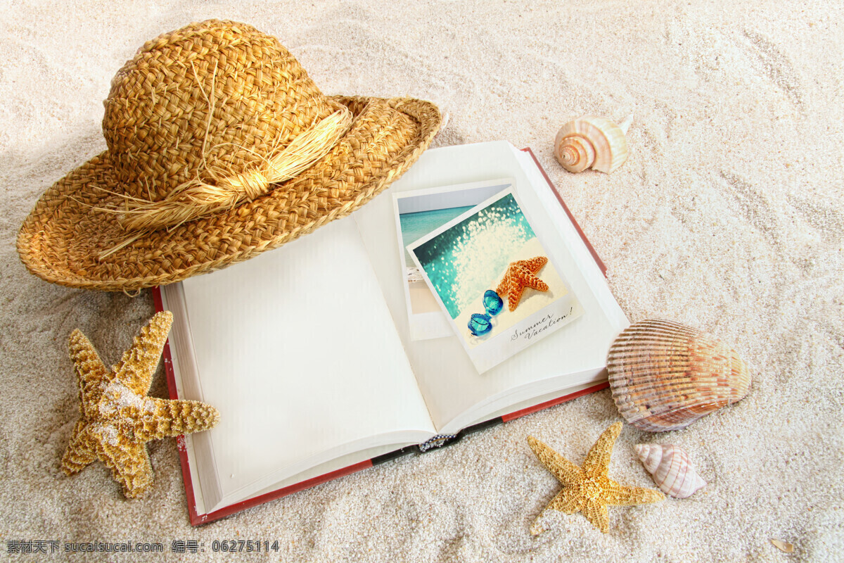 沙子 海星 书本 贝壳 海螺 海洋生物 沙滩 海滩 夏日海洋风景 海洋海边 大海图片 风景图片