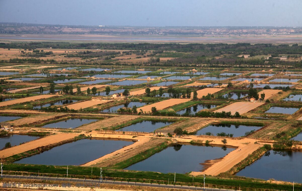 陕西 合阳 黄河 湿地 黄河湿地 万亩池塘 鸟瞰 壮观 绿色 旅游摄影 自然风景