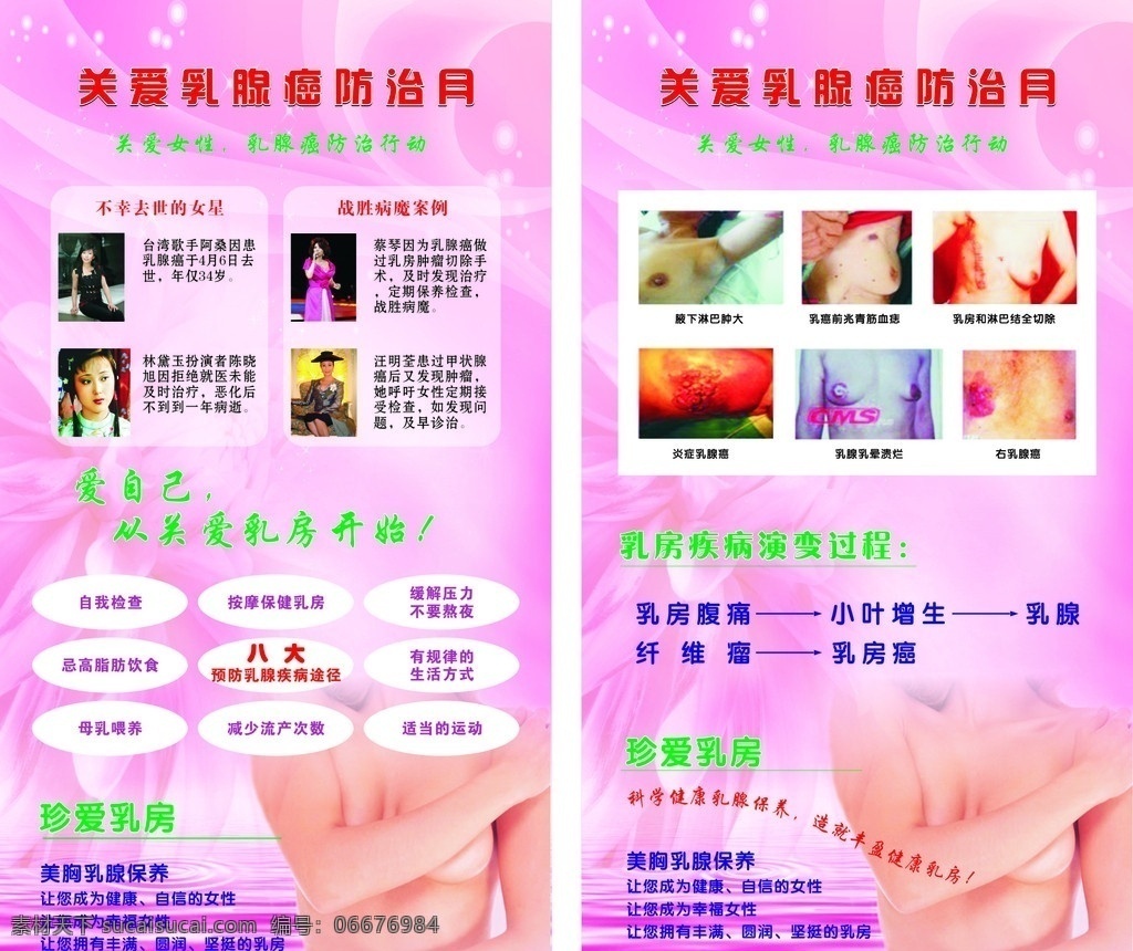 关爱女性健康 女性健康 乳腺癌 防治 矢量