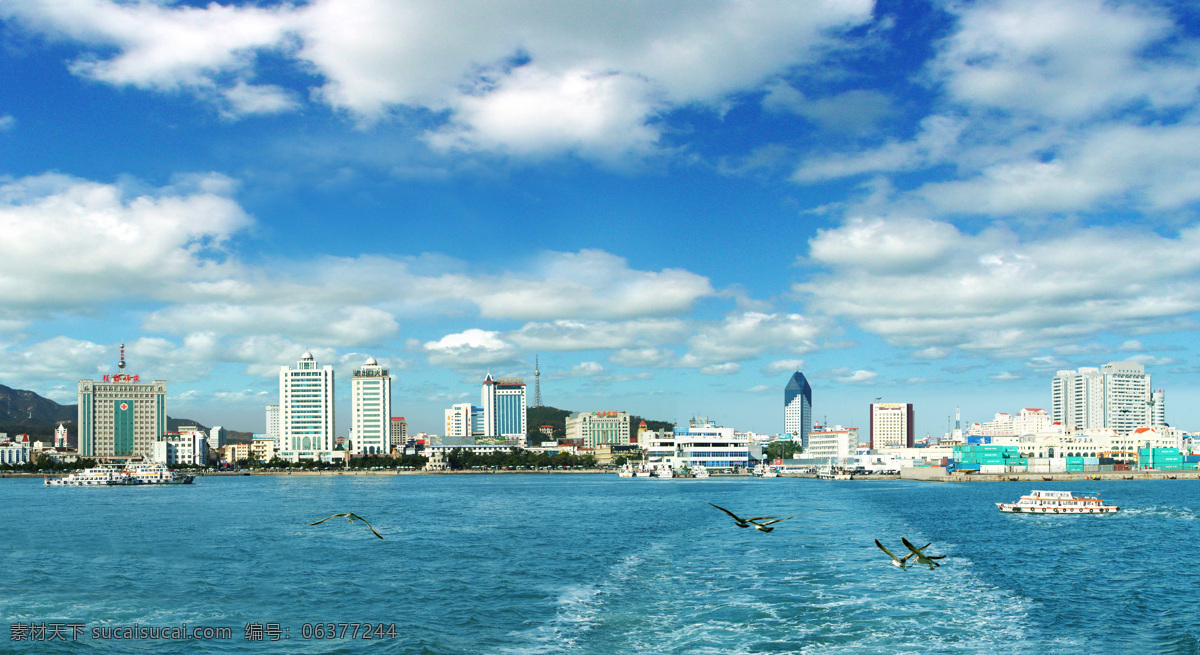 海上看威海 海上 威海 海鸥 风景 城市建筑 蓝天 大海 白云 自然景观 自然风景 摄影图库