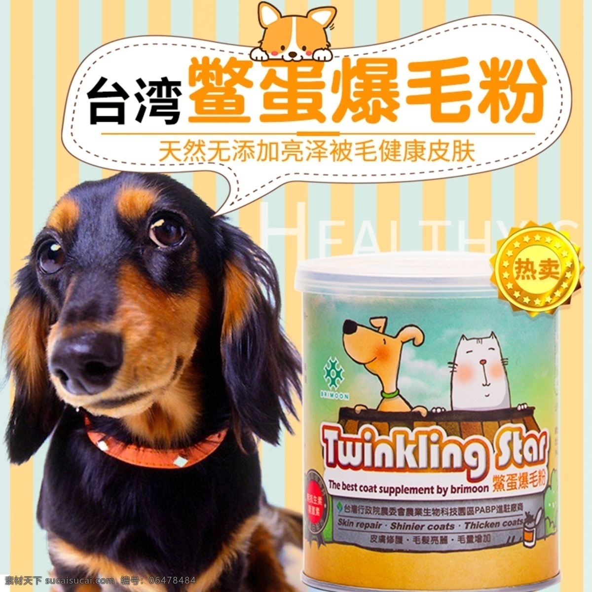 宠物用品 促销 淘宝 主 图 宠物 爆毛 主图 电商主图 淘宝主图 天猫主图 淘宝直通车 电商 天猫