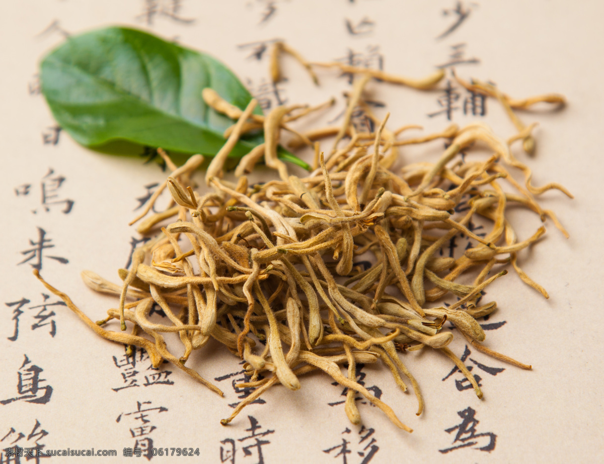 金银花图片 金银花 金银花茶 忍冬花 鹭鸳花 银花 双花 二花 金藤花 双苞花 金花 二宝花 中药 中药材 药材 食物 食材 食物原料