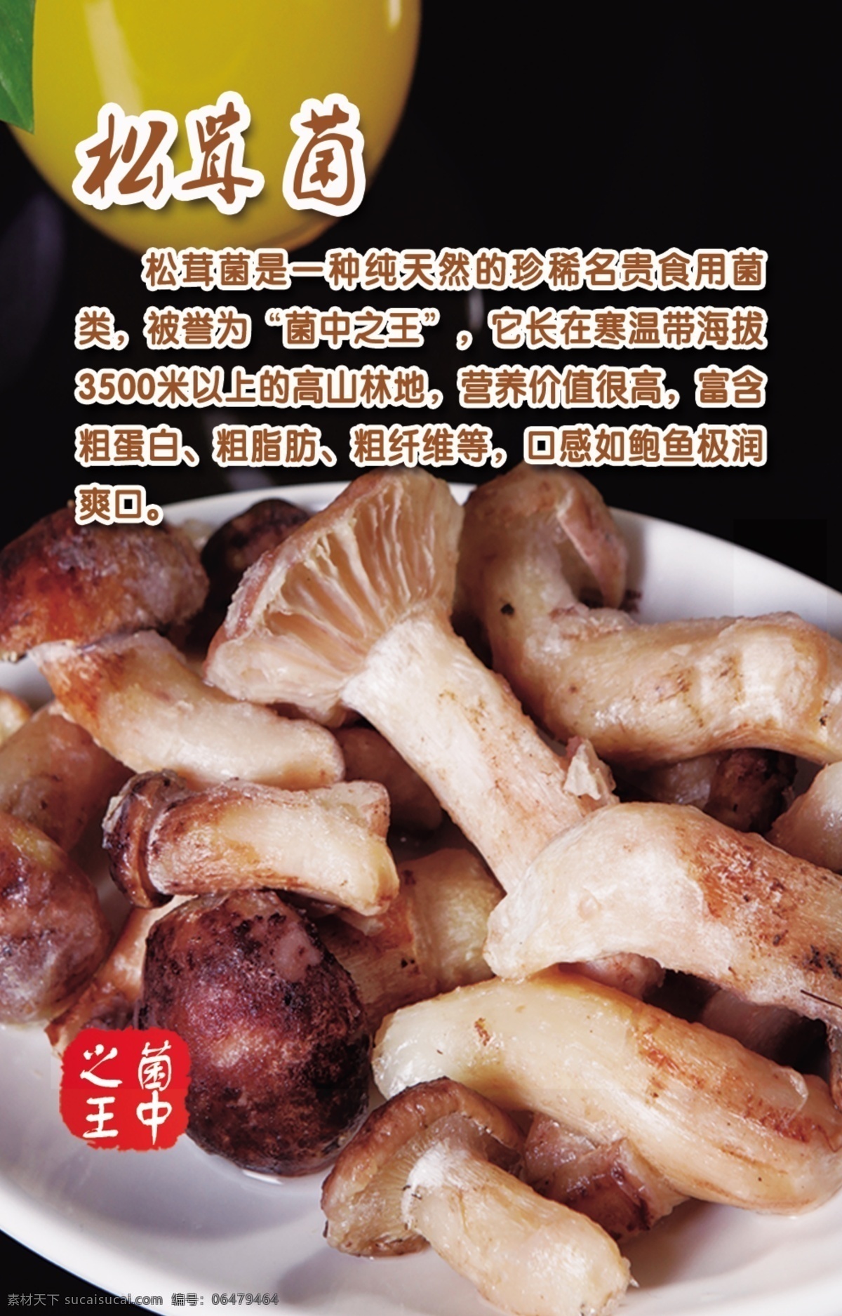 松茸菌 菜品 美食 海报 菌类 生活百科 餐饮美食